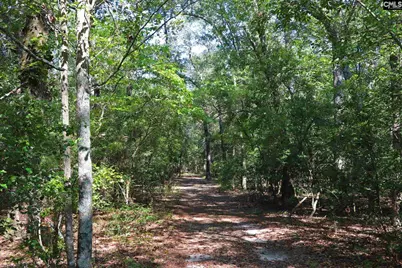 Bubba Gunter Road, Wagener, SC 29164 - Photo 7