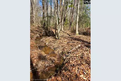 1354 Horsehead Road, Lugoff, SC 29078 - Photo 47