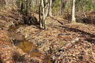 1354 Horsehead Rd, Lugoff, SC 29078 - Photo 47