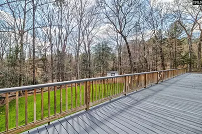 1943 Martin Road, Chapin, SC 29036 - Photo 43