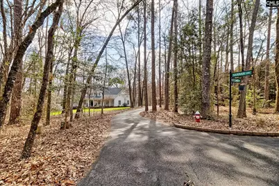 1943 Martin Road, Chapin, SC 29036 - Photo 47