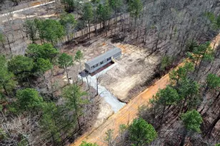 142 Sandy Fox Rd, Swansea, SC 29160 - Photo 33