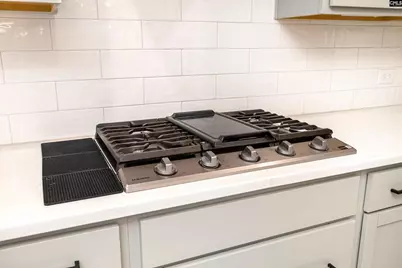 29 Coltswood Ln, Elgin, SC 29045 - Photo 27