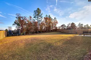 29 Coltswood Ln, Elgin, SC 29045 - Photo 61