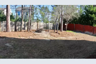 116 Stanley Court, Lexington, SC 29073 - Photo 33