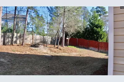 116 Stanley Court, Lexington, SC 29073 - Photo 37