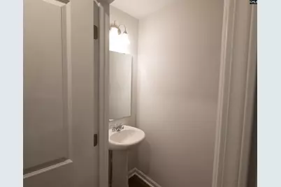 327 Canary Grass Court, Lexington, SC 29072 - Photo 3