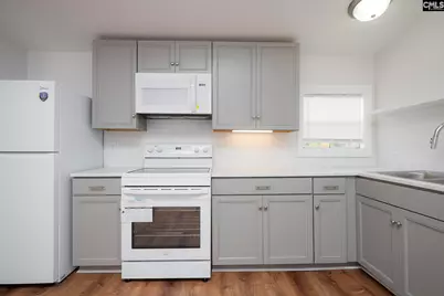 149 Testo Drive, Lexington, SC 29073 - Photo 15