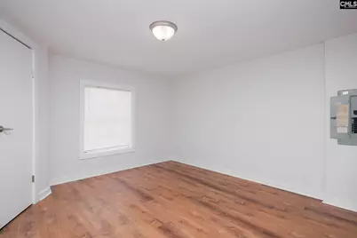 149 Testo Drive, Lexington, SC 29073 - Photo 19