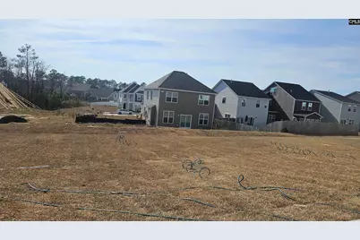 266 Sunny Hill Drive, Blythewood, SC 29016 - Photo 7