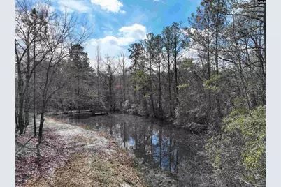 141 Woodstork Way, Lexington, SC 29073 - Photo 45