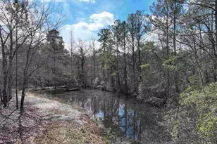 141 Woodstork Way, Lexington, SC 29073 - Photo 45