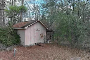 141 Woodstork Way, Lexington, SC 29073 - Photo 47