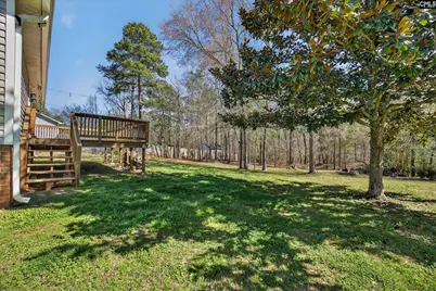 121 Black Creek Lane, Irmo, SC 29063 - Photo 23