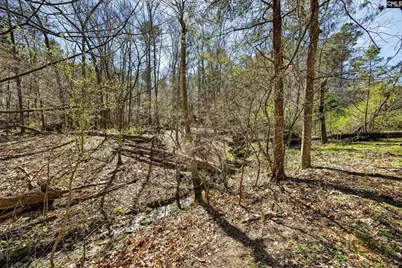 121 Black Creek Lane, Irmo, SC 29063 - Photo 29