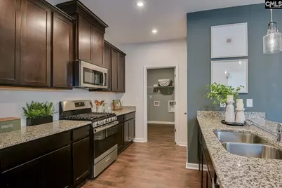 509 Chrome Horse Lane, Lexington, SC 29073 - Photo 3