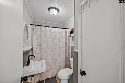 4462 Festival Trail Road, Wagener, SC 29164 - Photo 17