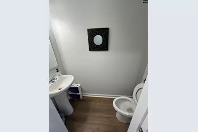 208 Flatsedge Court, Lexington, SC 29072 - Photo 9