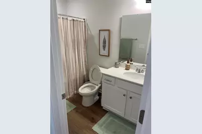 208 Flatsedge Court, Lexington, SC 29072 - Photo 19