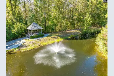 165 Preserve Lane, Columbia, SC 29209 - Photo 41