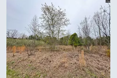 0 S Bethlehem Road, Batesburg, SC 29006 - Photo 5