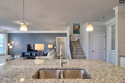 226 Coatsley Drive, Lexington, SC 29072 - Photo 15