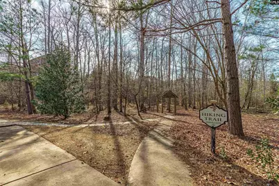 205 Chestnut Wren Road, Blythewood, SC 29016 - Photo 53