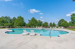 205 Chestnut Wren Rd, Blythewood, SC 29016 - Photo 59