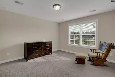 205 Chestnut Wren Road, Blythewood, SC 29016 - Photo 37