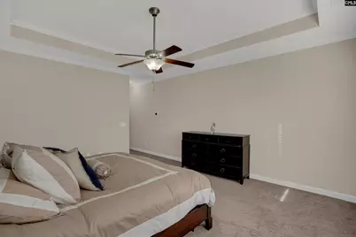 205 Chestnut Wren Road, Blythewood, SC 29016 - Photo 27