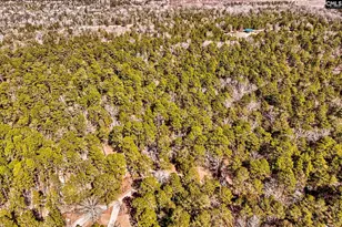 0 Edisto Lake Rd, Wagener, SC 29164 - Photo 3