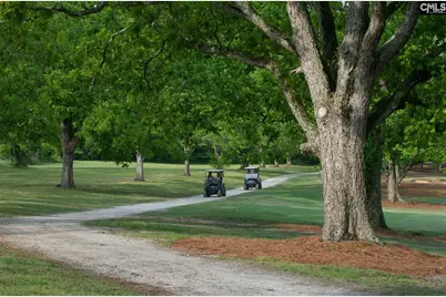 234 Thacher Loop, Elgin, SC 29045 - Photo 35