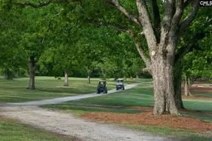 234 Thacher Loop, Elgin, SC 29045 - Photo 35