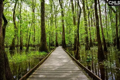 576 Swamp Grass Drive, Columbia, SC 29209 - Photo 39