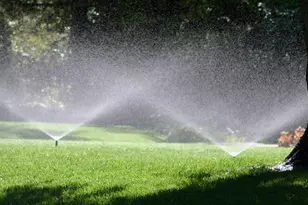 2027 Allan Crest Rd, Blythewood, SC 29016 - Photo 17