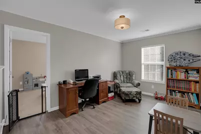 308 Turkey Beard Court, Chapin, SC 29036 - Photo 29