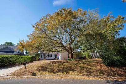 58 Mallet Hill Court, Columbia, SC 29223 - Photo 1