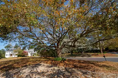 58 Mallet Hill Court, Columbia, SC 29223 - Photo 57