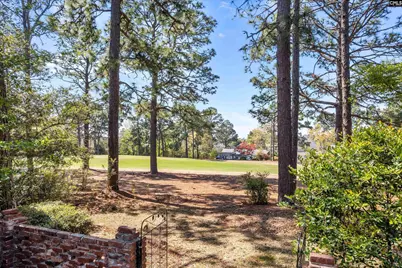 58 Mallet Hill Court, Columbia, SC 29223 - Photo 41