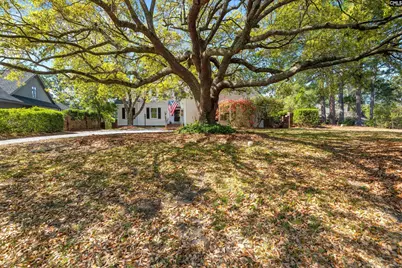 58 Mallet Hill Court, Columbia, SC 29223 - Photo 7