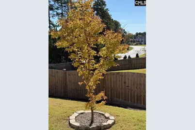 264 Feather Reed Lane, Elgin, SC 29045 - Photo 31