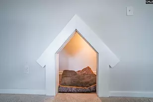 669 Penfolds Wy, Blythewood, SC 29016 - Photo 13