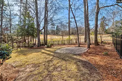 433 Oxenbridge Way, Chapin, SC 29036 - Photo 29