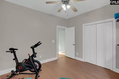 180 Palm Street, Chapin, SC 29036 - Photo 33