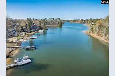 180 Palm Street, Chapin, SC 29036 - Photo 63