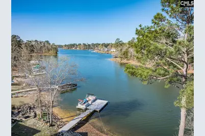 180 Palm Street, Chapin, SC 29036 - Photo 13