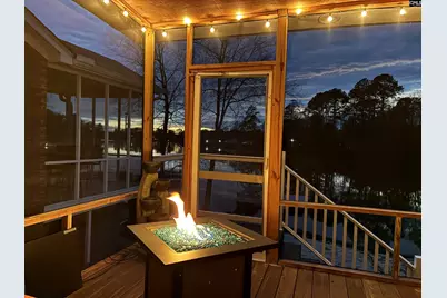 180 Palm Street, Chapin, SC 29036 - Photo 67