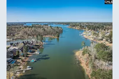 180 Palm Street, Chapin, SC 29036 - Photo 61