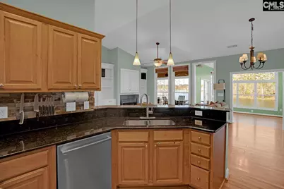 180 Palm Street, Chapin, SC 29036 - Photo 23