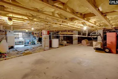 180 Palm Street, Chapin, SC 29036 - Photo 49